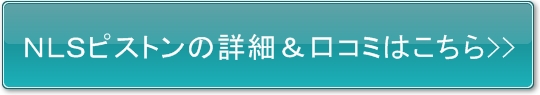 NLSピストン